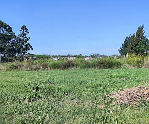 vta_ter_002_03