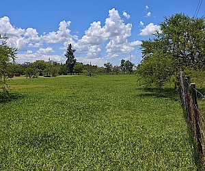 VTA-TER-003, Terreno Parquizado en Zona de Chacras