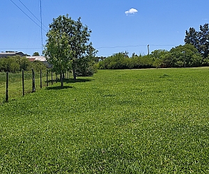 vta_ter_003_02