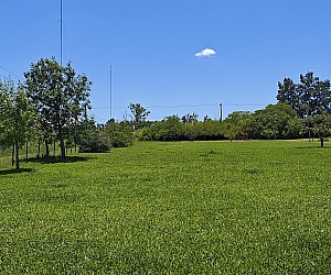 vta_ter_003_03