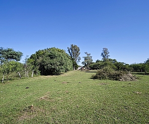 vta_ter_004_03