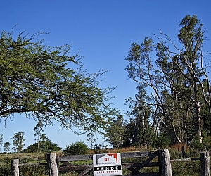 VTA-CHA-003, Chacra de 3 Hectáreas en Plena Naturaleza cerca de Ruta 119