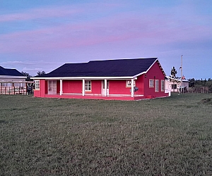 vta_cas_004_19